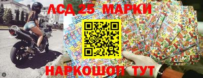 гидра Новозыбков