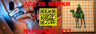 сатива Новодвинск