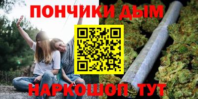гидра Новозыбков