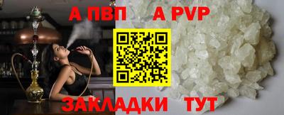гидра Новозыбков